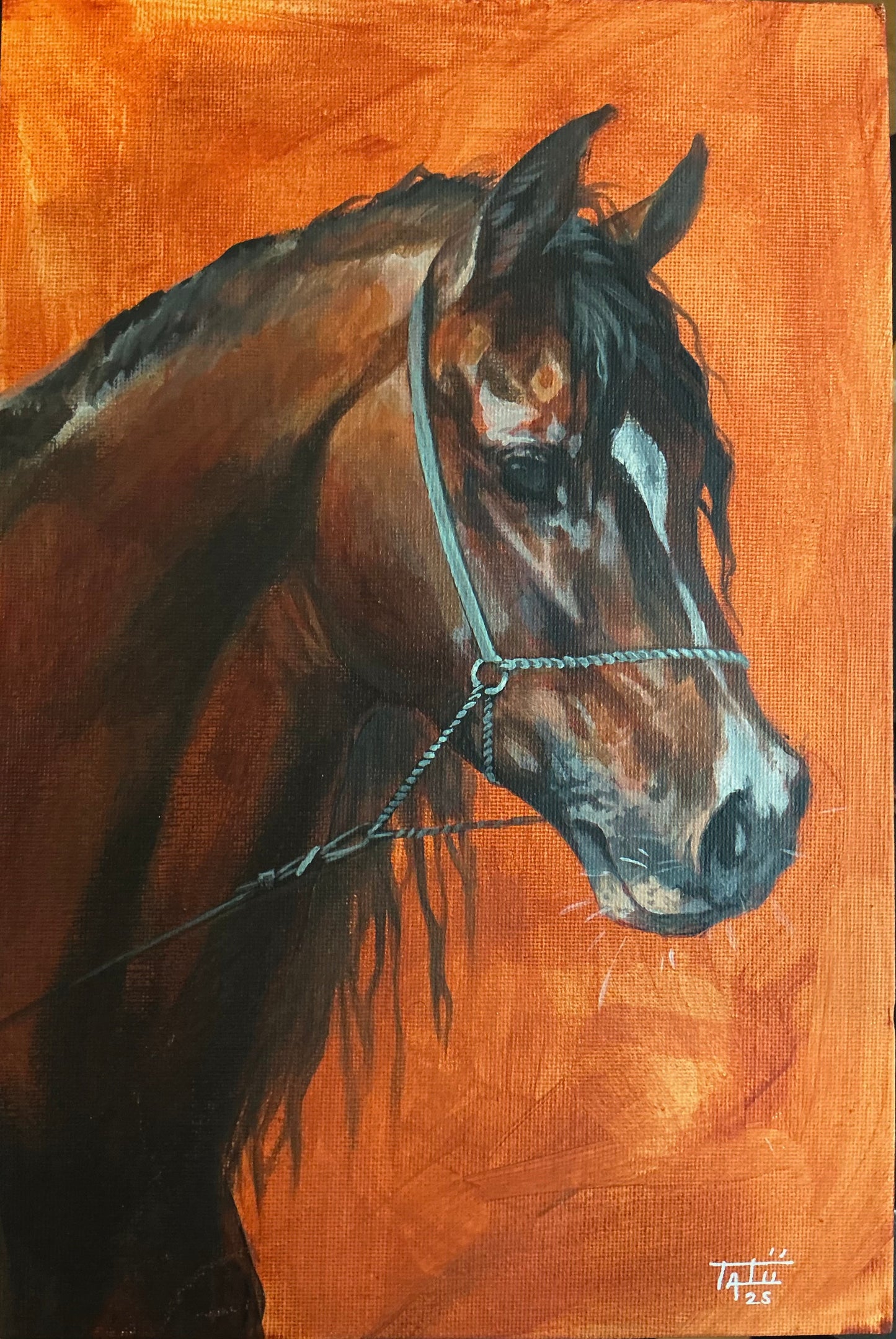 Horse portrait 1 - ORIGINAL