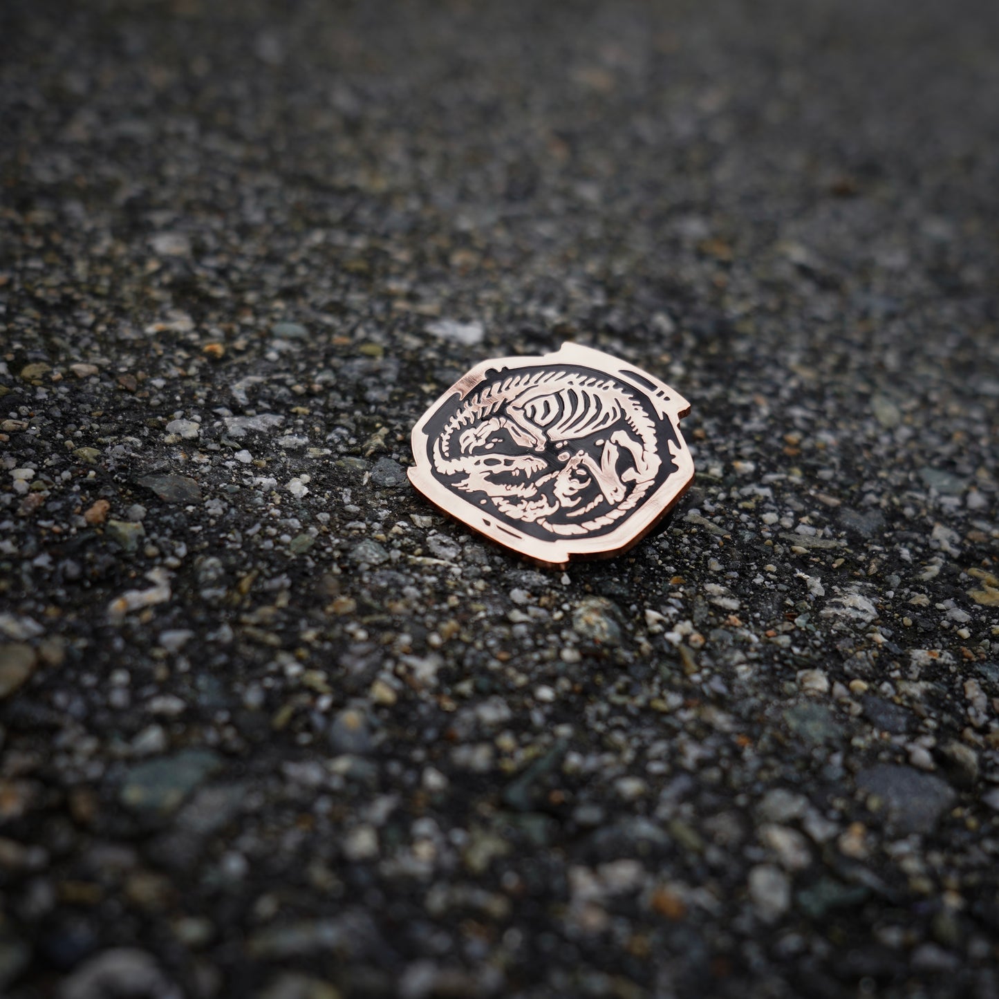 Hic sunt Dracones - Hard Enamel pin