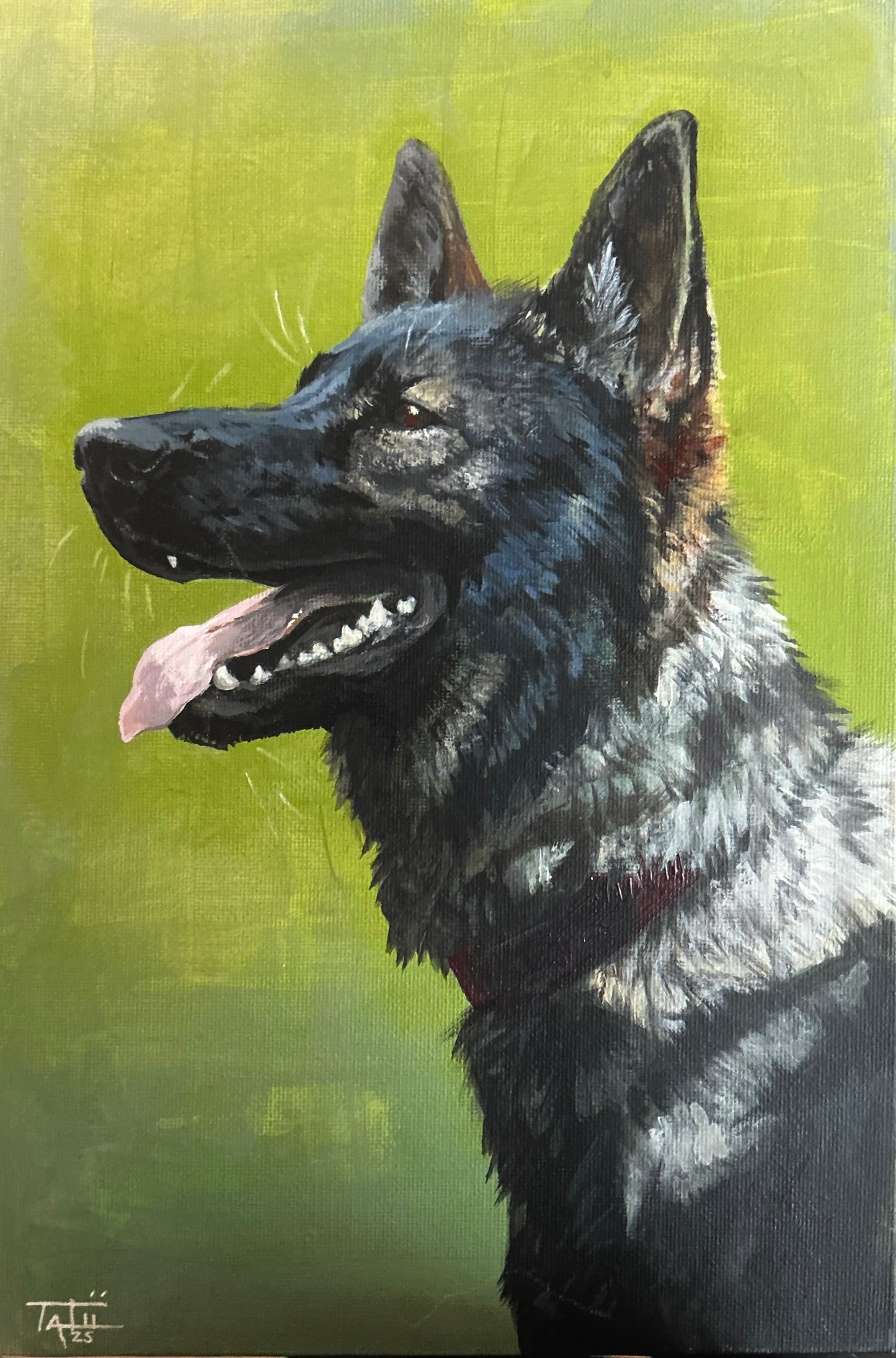 Dog portrait 1 - ORIGINAL