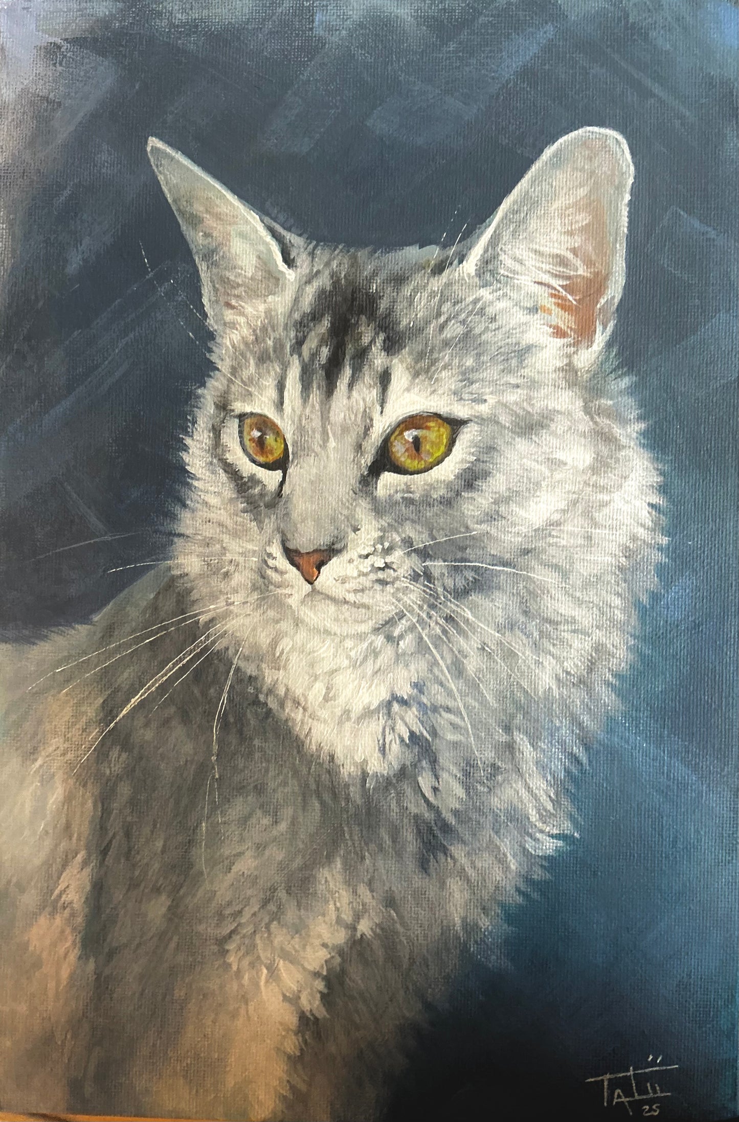 Cat portrait 1 - ORIGINAL