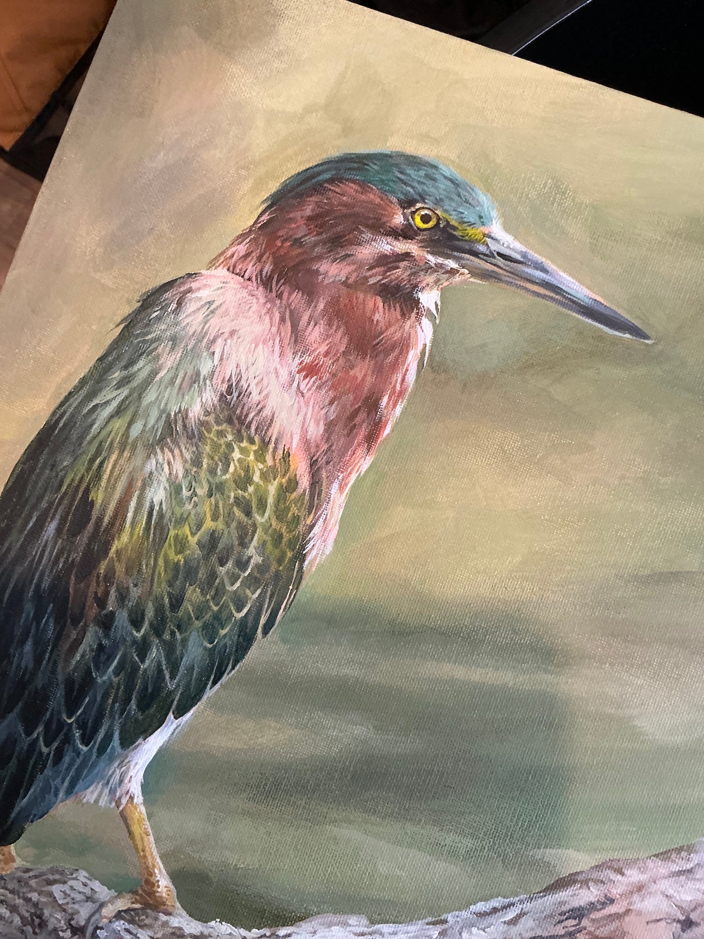 Green Heron - ORIGINAL