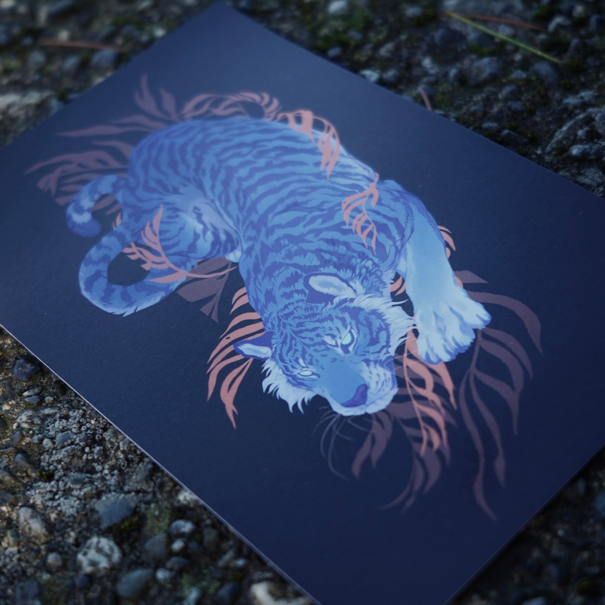 Azure Tiger - Postcard - KIRIN KONCEPT - Half page print